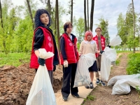 Молодёжный субботник, посвященный 80-летию Победы советского народа в Великой Отечественной Войне и Году благоустройства