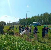 Актив Могилевской ГО ОО «БРСМ» в деле: благоустройство и память