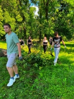 Неравнодушные объединяют усилия для восстановления  парка Подниколье после стихии