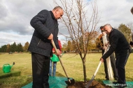 Аллея регионов