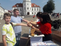 ПУНКТЫ МИРА: акция по городам Беларуси