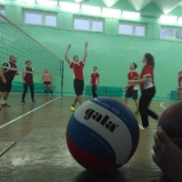 Товарищеский матч по волейболу