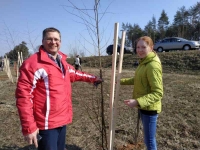Заградительная зеленая зона