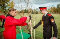 Аллея регионов