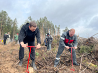 «Зелёный старт»: молодые специалисты Могилёва вместе с союзной молодежью высадили сеянцы в рамках акции «Лес! Дабро! Парадак!»