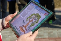 Аллея семейных деревьев появилась в Могилеве