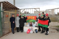 «Братья наши меньшие» 