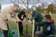 Аллея регионов