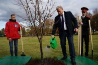 Аллея регионов