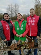 Благоустройство аллеи семейных деревьев