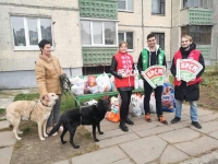 Благотворительная акция "Братья наши меньшие"